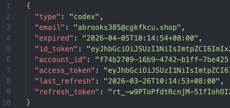 JSON 认证文件示例